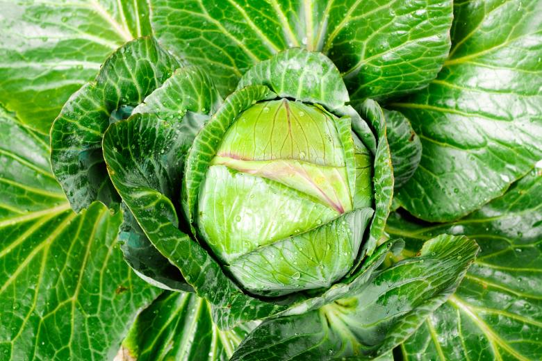 Free stock image of food background created by 2happy