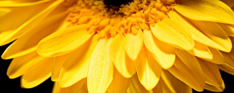 Free stock image of flower created by 2happy