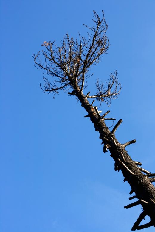 Free stock image of scene of nature created by 2happy