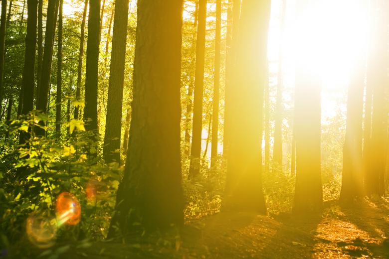 Free stock image of sun created by 2happy