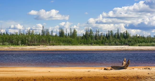 Free Stock Photo of river