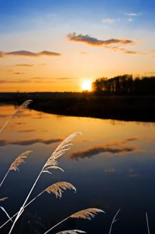 Free Stock Photo of lake