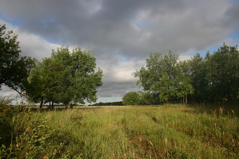 Free stock image of nature created by 2happy