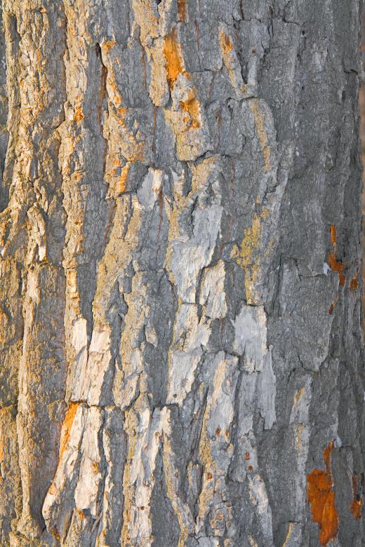 Free stock image of backdrop created by 2happy