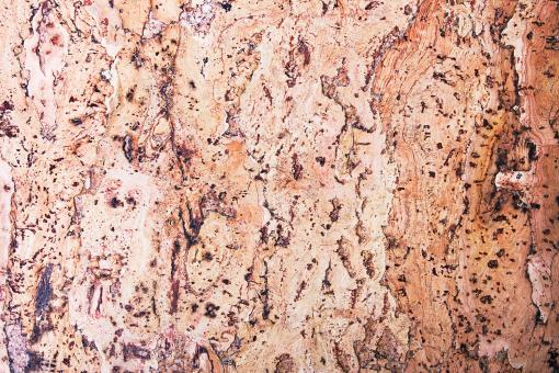 Free Stock Photo of backdrop