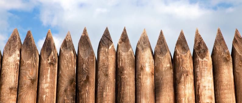 Free Stock Photo of backdrop