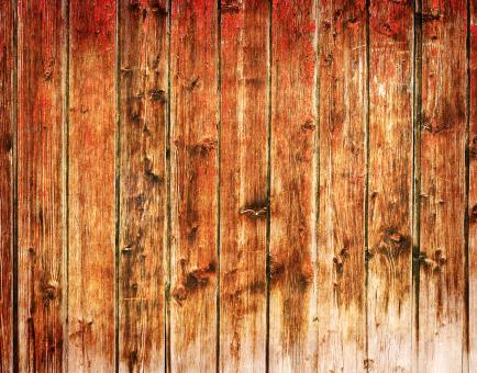 Free Stock Photo of backdrop