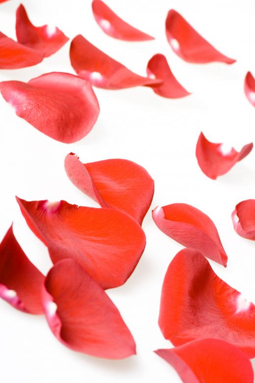 Free stock image of rose petals created by 2happy