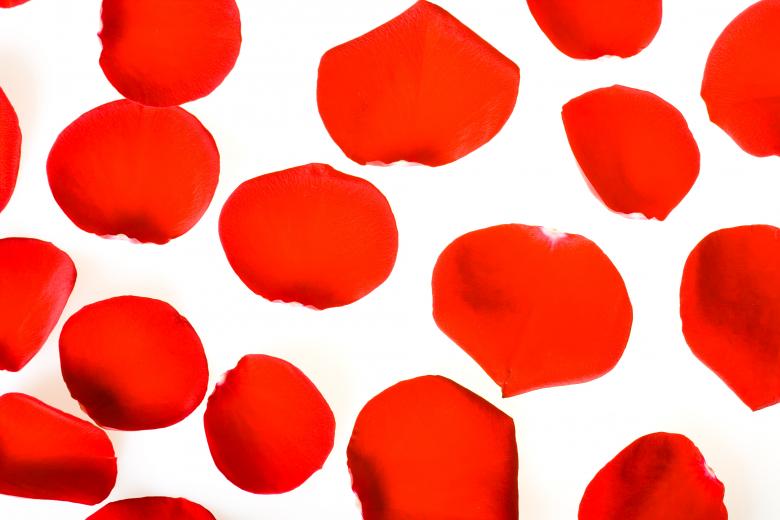 Free stock image of rose petals created by 2happy