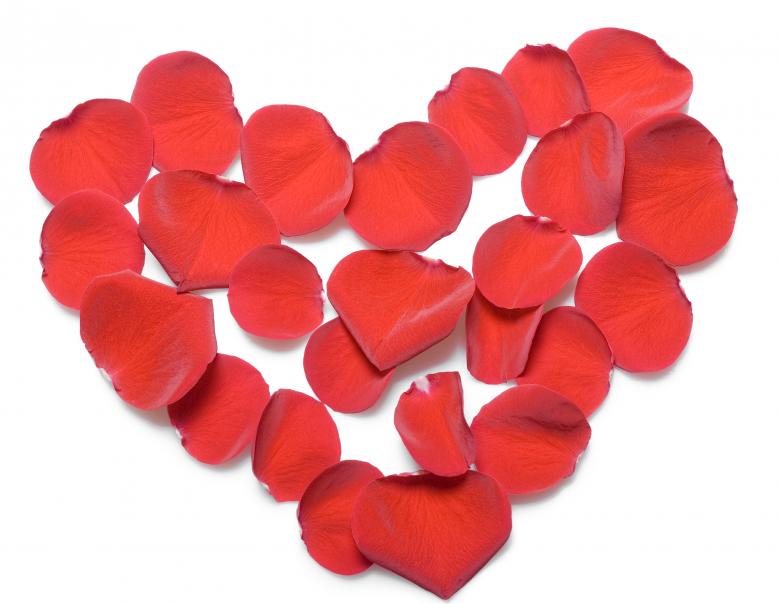 Free stock image of rose petals created by 2happy