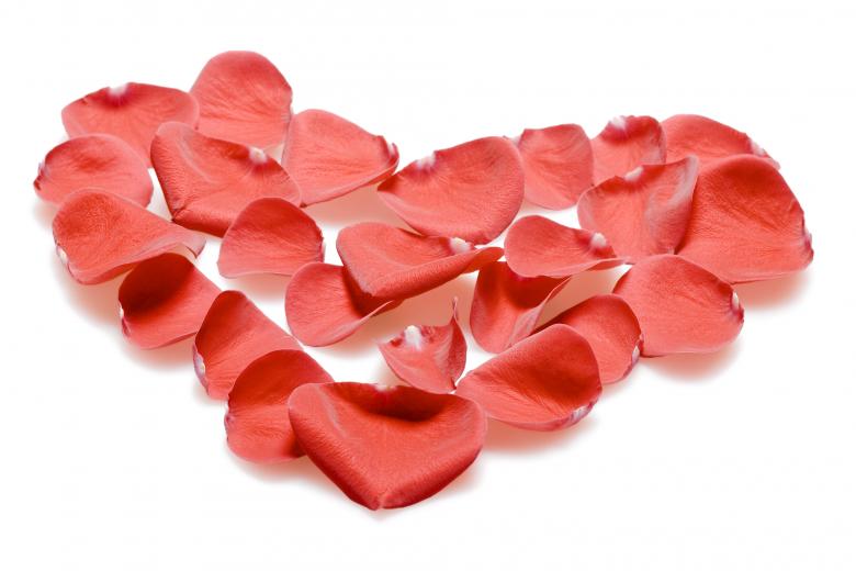 Free stock image of rose petals created by 2happy