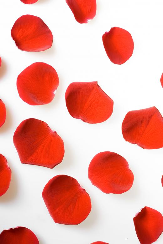 Free stock image of rose petals created by 2happy