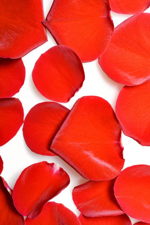 Free stock image of rose petals created by 2happy