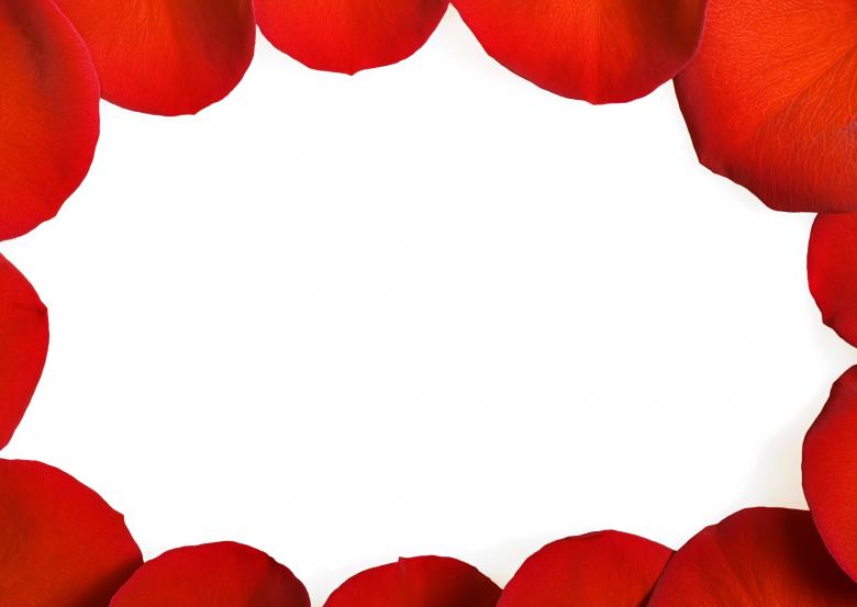 Free stock image of rose petals created by 2happy