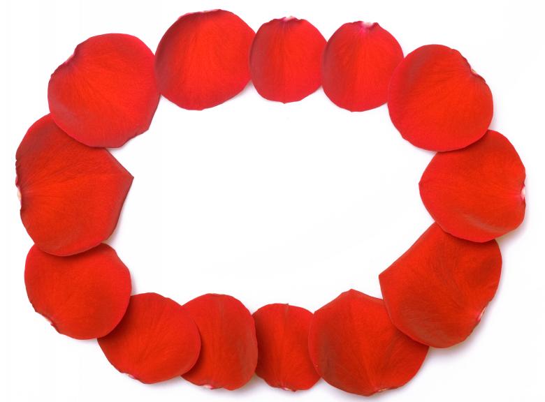 Free stock image of rose petals created by 2happy