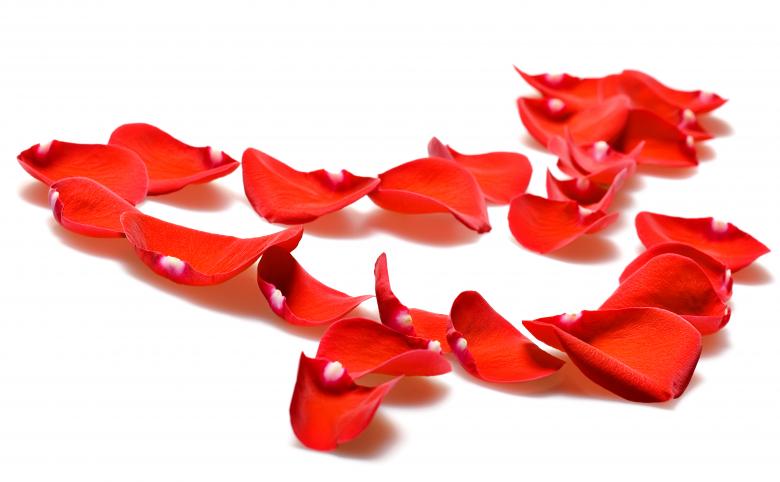 Free stock image of rose petals created by 2happy