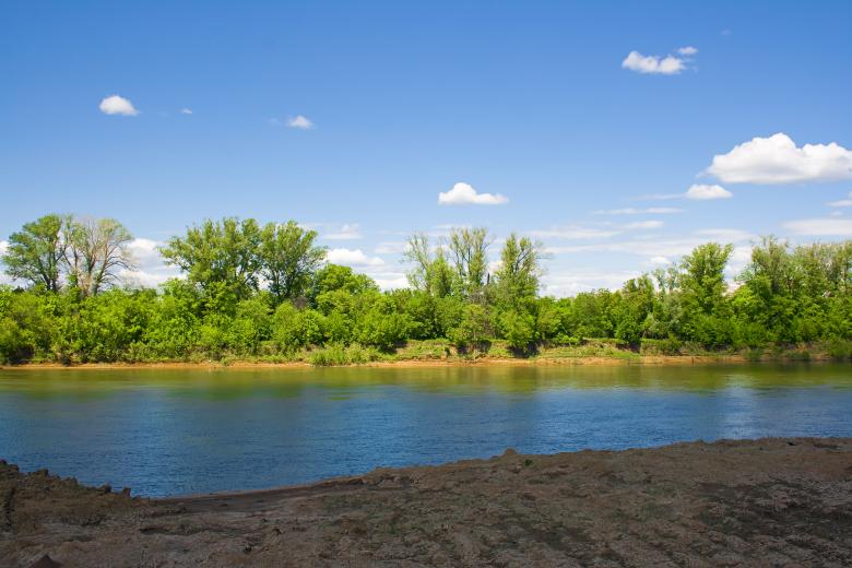 Free stock image of nature created by 2happy