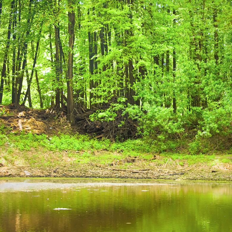 Free stock image of nature created by 2happy