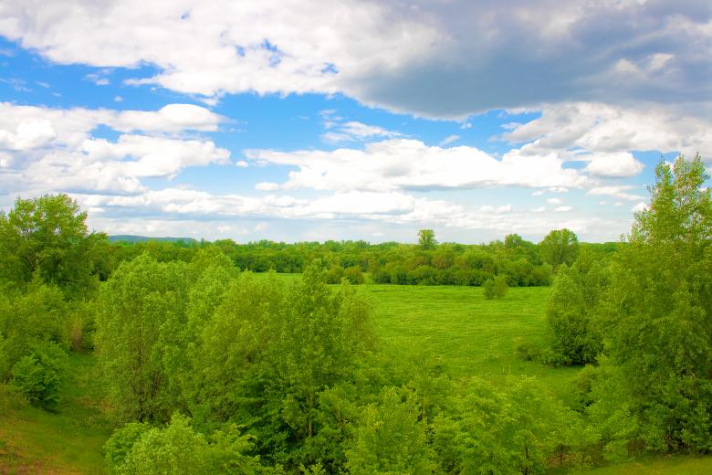 Free stock image of nature created by 2happy