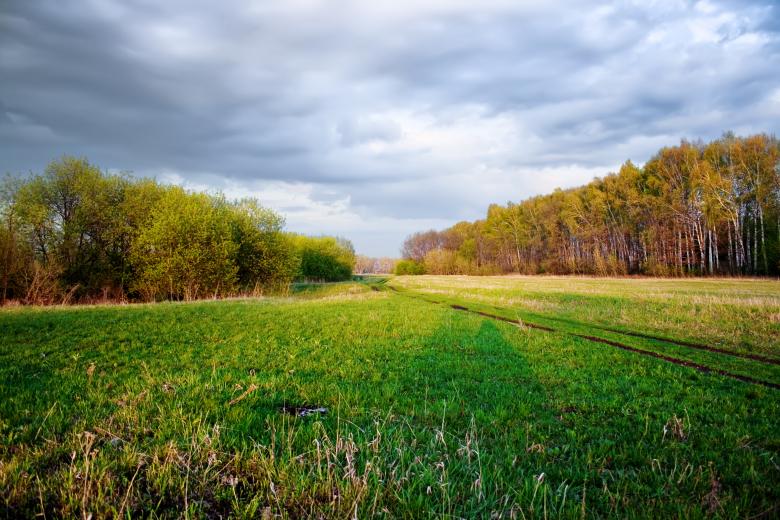 Free stock image of field created by 2happy