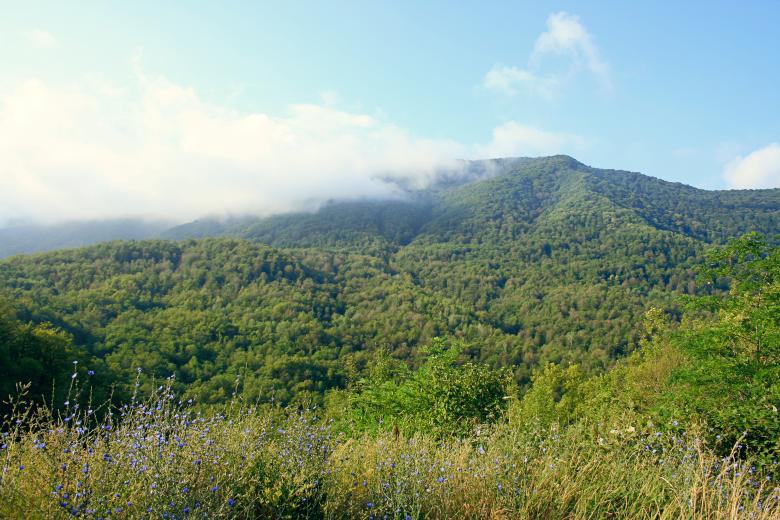 Free stock image of nature created by 2happy