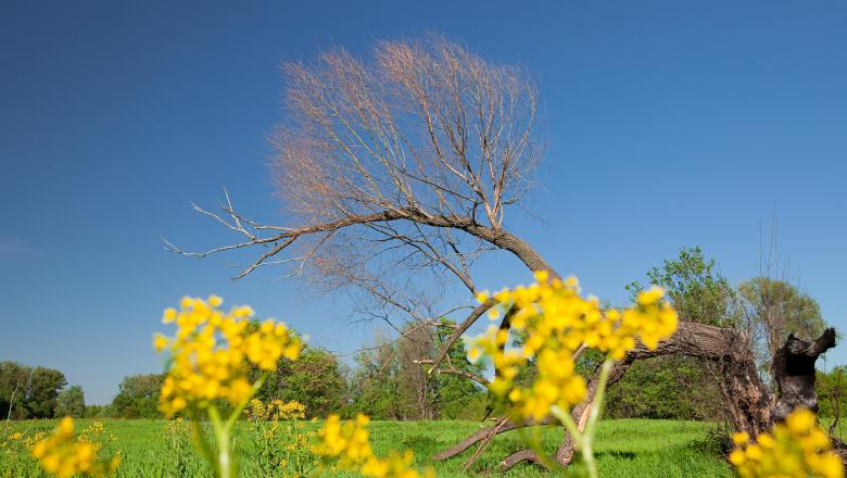Free stock image of nature created by 2happy