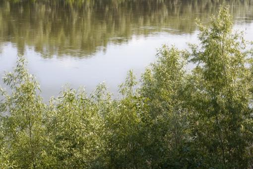 Free Stock Photo of river