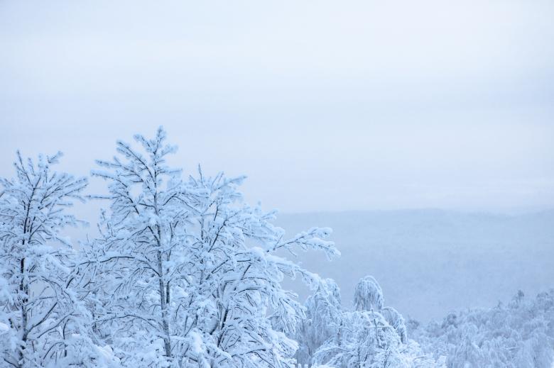 Free stock image of winter created by 2happy