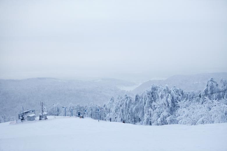Free stock image of Winter created by 2happy