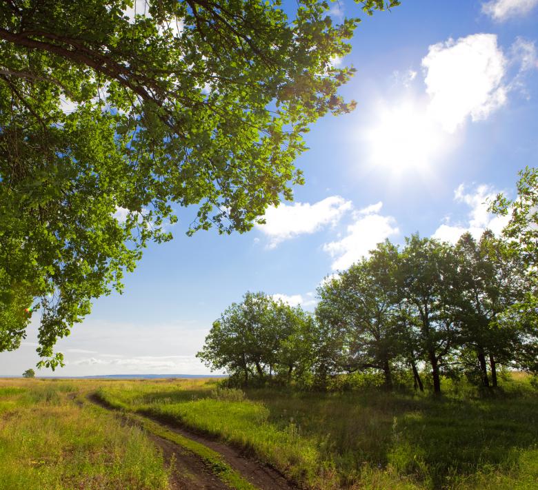Free stock image of sunlight created by 2happy