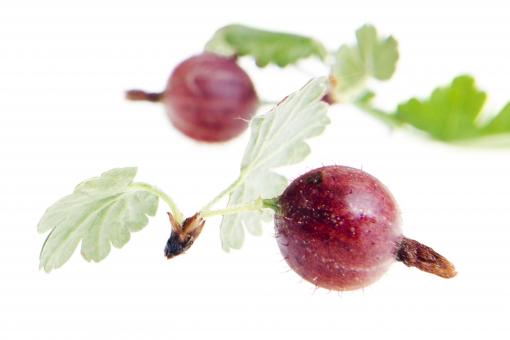 Free Stock Photo of Healthy Eating