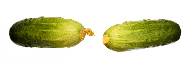 Free stock image of Healthy Eating created by 2happy