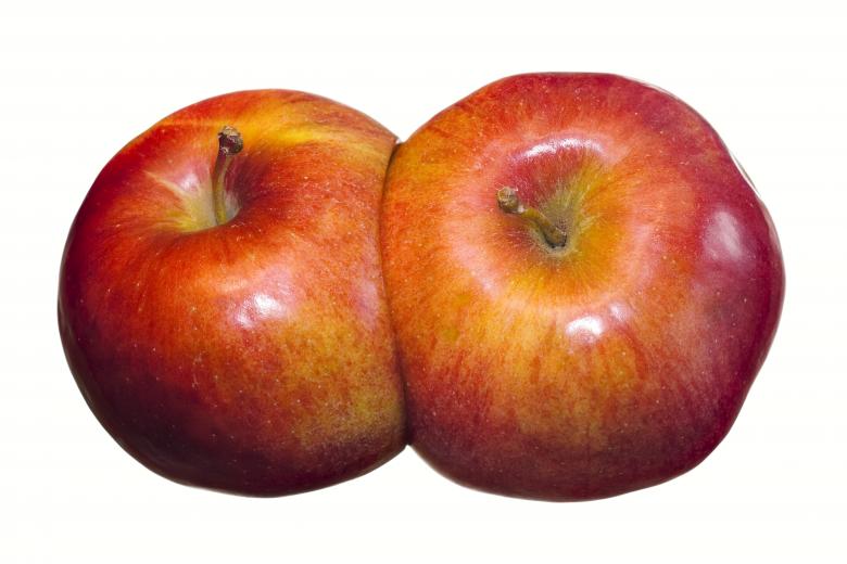 Free stock image of Healthy Eating created by 2happy