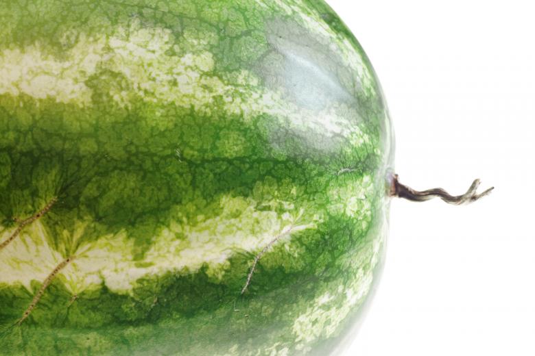 Free stock image of watermelon created by 2happy