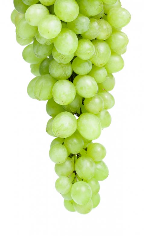 Free stock image of Healthy Eating created by 2happy