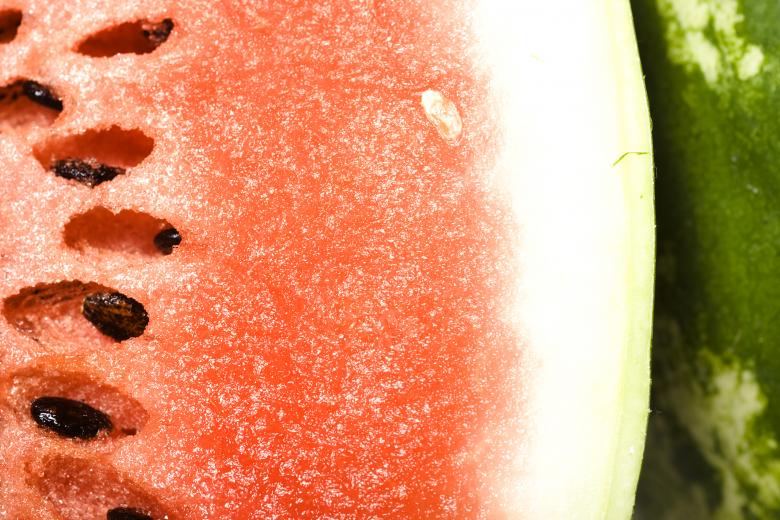 Free stock image of Melon created by 2happy