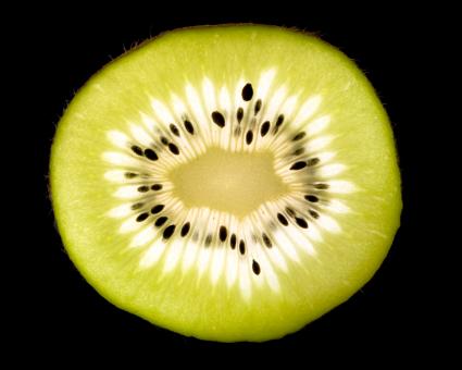 Free Stock Photo of Kiwi