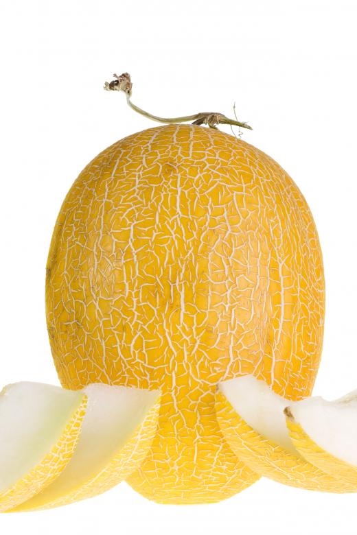 Free stock image of Melon created by 2happy