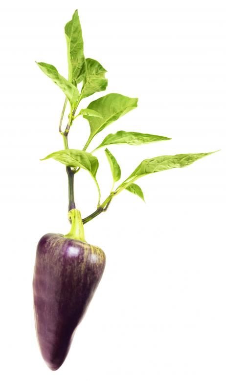 Free stock image of healthy eating  created by 2happy