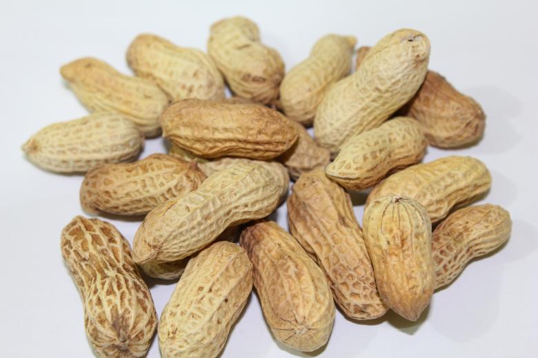 Free stock image of My Peanuts created by Jochanan Wahjudi