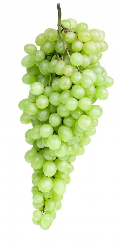 Free stock image of Green Grapes created by 2happy