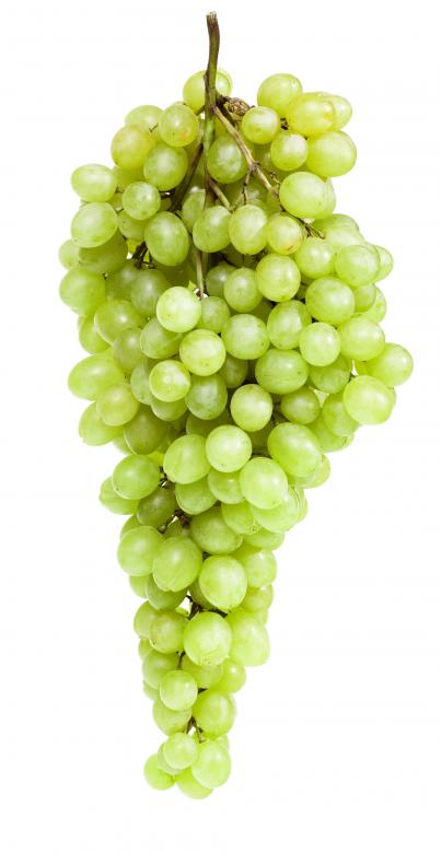 Free stock image of Green Grapes created by 2happy