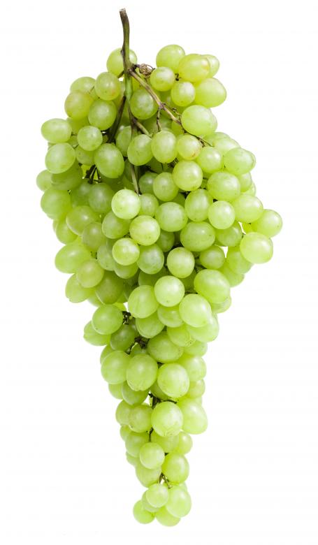 Free stock image of Green Grapes created by 2happy