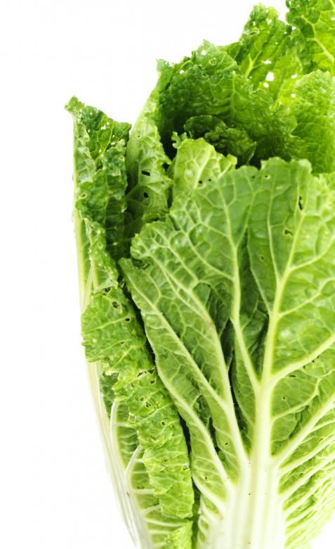 Free stock image of healthy eating  created by 2happy