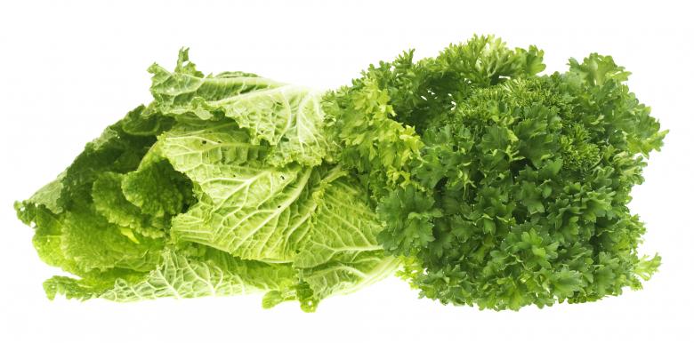 Free stock image of healthy eating  created by 2happy
