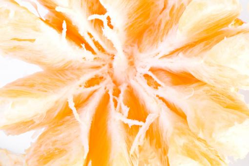 Free Stock Photo of healthy eating 