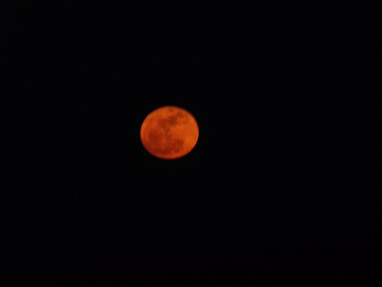 Free stock image of The super moon  created by melissa denault