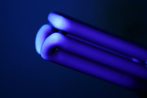 Free Stock Photo of Bulb