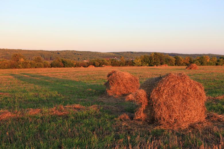 Free stock image of Field created by 2happy
