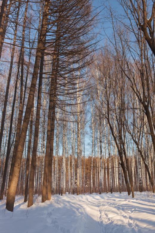 Free stock image of Winter created by 2happy